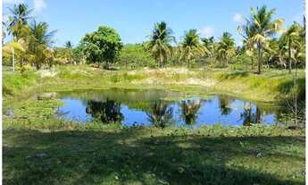 Imagem 4: Chácara em Piaçabuçu a venda