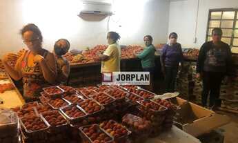 Imagem 7: Fazenda com 2 dormitórios à venda, 480000 m² por R$ 2.350.000,00 - Santo Antonio - Carmo/R