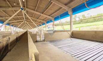 Imagem 13: Granja de Suínos Terminação