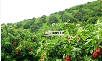 Imagem 3: Fazenda com 2 dormitórios à venda, 480000 m² por R$ 2.350.000,00 - Santo Antonio - Carmo/R