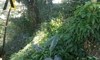 Imagem 6: Terreno com projeto aprovado para 6 casas de vila