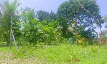 Imagem 6: Vendo chácara de 5.960 m² - Seu Refúgio de Paz e Natureza