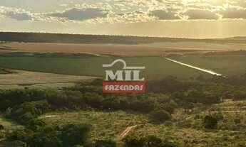 Imagem 4: Fazenda 102 Alqueires (494 Hectares) São João dAliança - GO