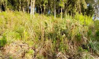 Imagem 6: Terreno à Venda em Canela!