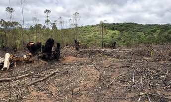 Imagem 4: Área de 3.000m² em Ibiúna Espaço, Privacidade e Alto Potencial de Valorização