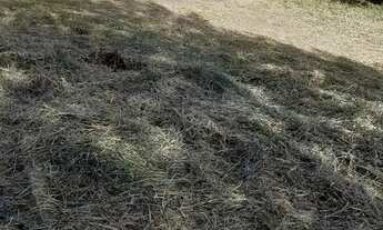 Imagem: Lote/Terreno para venda com 1678 metros