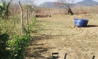 Imagem 7: TERRENO ÓTIMO PRA SÍTIO próximo a Tucunduba Caucaia