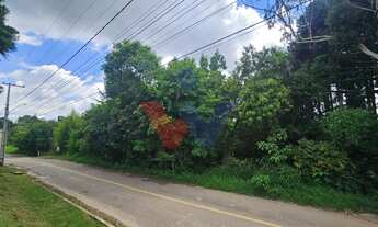 Imagem 5: Terreno urbano de 11.000 m com nascente e bosque a 14 km de Curitiba