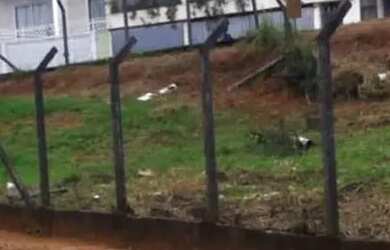 Imagem: Lote em Rua Salma - Granja Viana - Cotia/SP