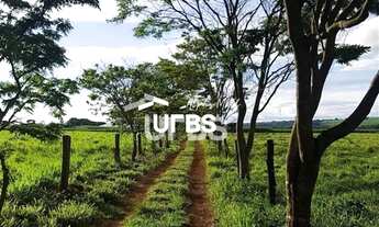 Imagem: Sítio em Piracanjuba