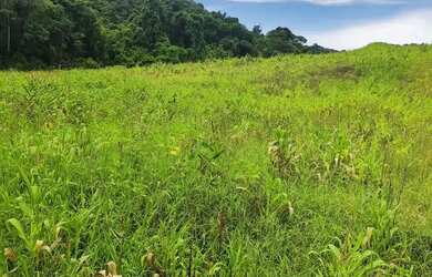 Imagem 5: Planeje seu futuro em uma região que cresce e valoriza