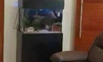 Imagem 3: Casa com 2 dormitórios à venda, 143 m² por R$ 530.000,00 - Jardim Santo André - Santo Andr