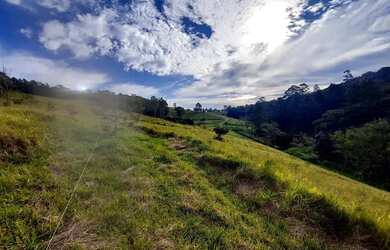 Imagem 2: Imóvel para venda tem 500 metros quadrados em Colégio - Ibiúna - SP