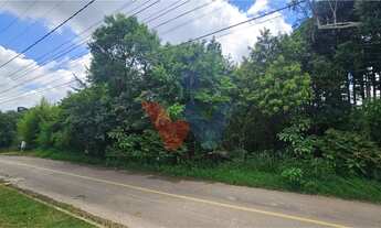 Imagem 4: Terreno urbano de 11.000 m com nascente e bosque a 14 km de Curitiba