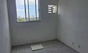 Imagem 2: Alugo apto na Cohama c/ 2 quartos/cozinha projetada-8° andar/nascente/Palmeiras 3 M. Andr