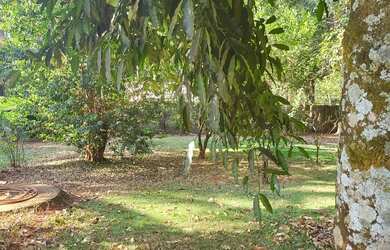 Imagem 5: Chacara na saida da GO-070 4.375 m²