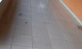 Imagem: Aluga-se casa 4/4 cidade livre