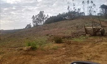 Imagem: Oportunidade boa pra negocio