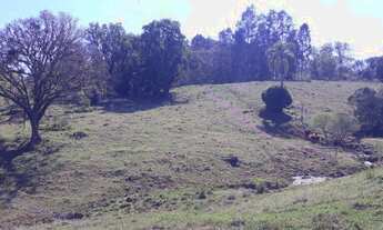 Imagem 4: Chácara em Três Coroas na divisa com São Francisco de Paula