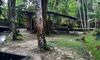 Imagem 3: Vendo Sítio em Santa Barbara (Aceita Carro como Parte do Pagamento