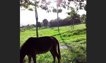 Imagem 2: Sítio a venda Chácara com venda por R$350.000