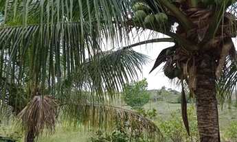 Imagem 7: SITIO RESIDENCIAL em Mata de São João - BA, Núcleo JK