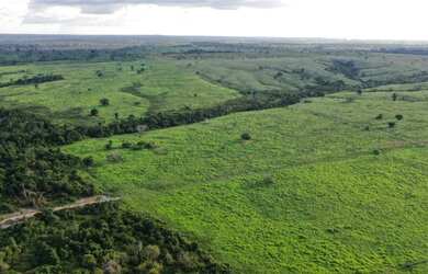Imagem 6: Fazenda - Pau D'arco (TO
