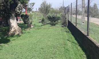 Imagem 2: Santa Maria - Chácara - Santo Antão