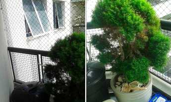 Imagem 4: Apartamento à venda - Jardim Vila Formosa