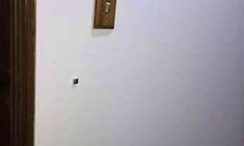 Imagem 4: Apartamento- Petrópolis, Castelânea