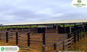 Imagem 4: FAZENDA 285 HECTARES TODA FORMADA EM PASTO