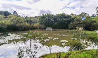 Imagem 7: Vendas Área Colombo PR