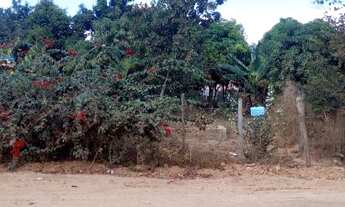 Imagem 3: Lote em rua pública