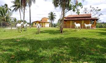 Imagem 2: SITIO RESIDENCIAL em Mata de São João - BA, Núcleo JK