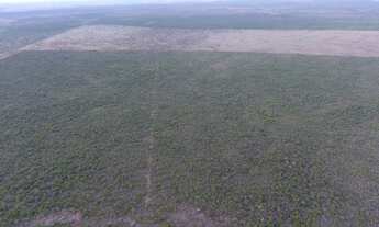 Imagem: Fazenda/Sítio/Chácara para venda com 310
