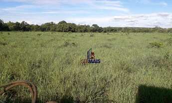 Imagem 2: Fazenda à venda, por R$ 50.000.000 - Centro - Lagoa da Confusão/TO