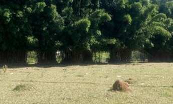 Imagem 2: Terreno em Atibaia