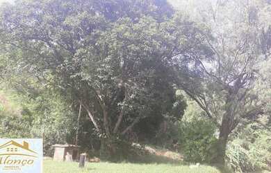 Imagem 4: Área de terra em Nova Petrópolis , bairro Nova Harmonia Ref.:791