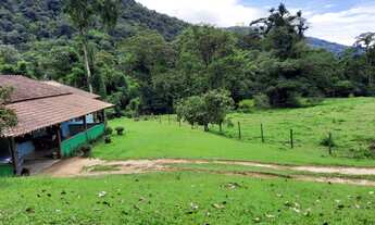 Imagem: VENDE-SE SITIO SÃO ROQUE PARATY RJ. COM