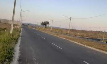 Imagem 6: Vendo um lote em caudas novas