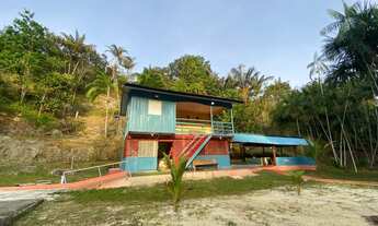 Imagem 3: Vendo 150 Mil Sítio na Am 010 Km 35 Ramal Água Branca 2(+9 km