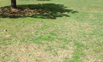 Imagem: Terreno à venda, 980 m² por R$ 4.900.000,00