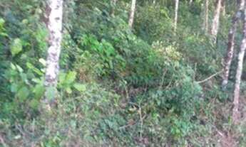 Imagem 3: Lote com 1500m2 em condomínio no Cônego - Nova Friburgo