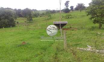 Imagem 3: Jaru - Sítio - 12 Alqueires