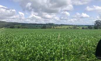 Imagem 7: Fazenda para Venda em Cristianópolis, Zona Rural