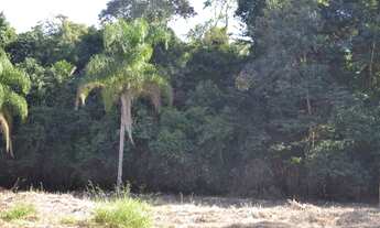 Imagem: Terreno Portal da Figueira