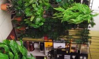 Imagem 5: Casa com 2 dormitórios à venda por R$ 650.000,00 - Centro - Teixeira de Freitas/BA