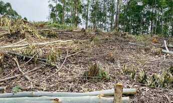 Imagem 7: Salesópolis Terreno / lote com venda por R$75.000