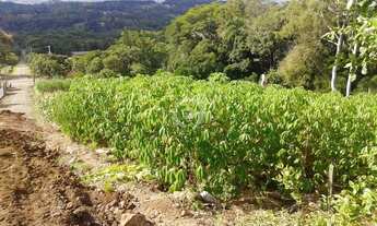 Imagem 4: Venda Terreno / lote com venda por R$409.000