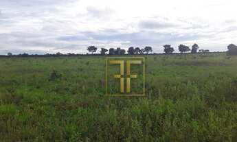 Imagem 7: Fazenda 1.000 Hectares, Gaúcha do Norte, MT